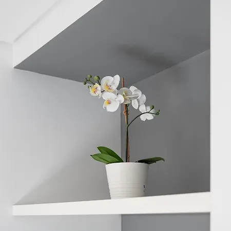 Guestready - Old Design